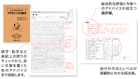 プラクティス小論文