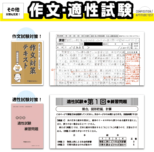 その他対策も充実！作文・適性試験