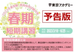 いラインアップ 小学校 東京アカデミー 教員採用 県 セット 埼玉 参考書 Judonsw Com Au