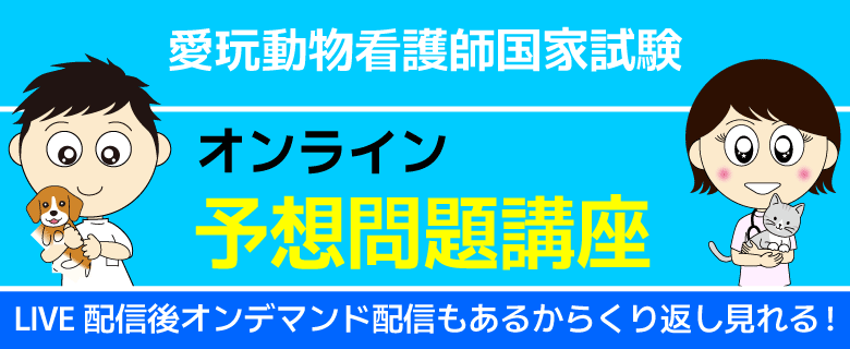 動物看護師_予想問題演習オンライン